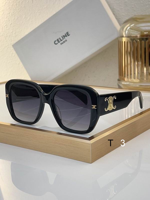 Celine Sunglasses ID:20240804-92